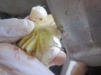 Come pulire e tagliare carciofi 4 IMG 2092