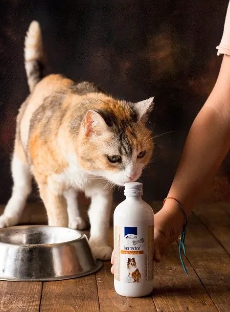 La cura del benessere dei miei gatti con l’aiuto di Formevet